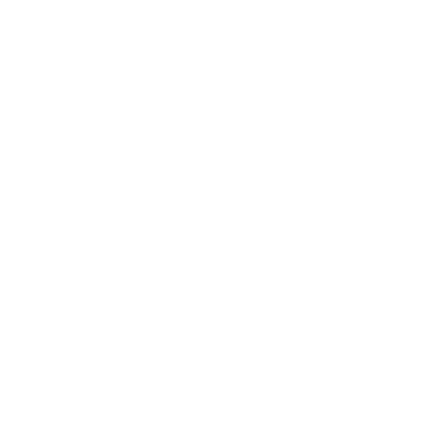castletop logo white